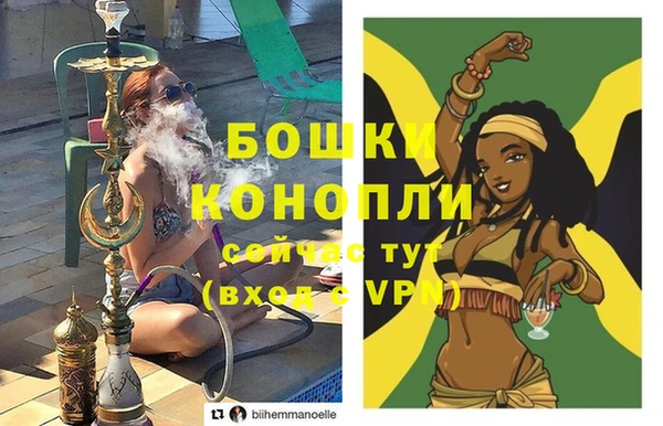 МДПВ Костерёво