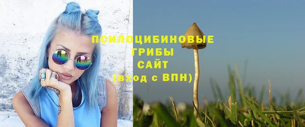 бошки Козельск