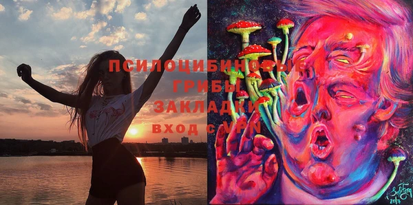 бошки Козельск