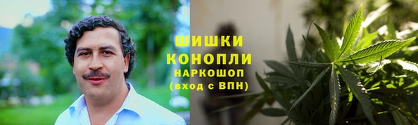 крисы Корсаков