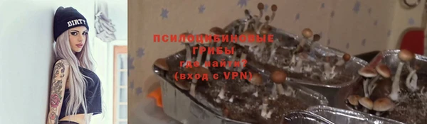 2c-b Кодинск