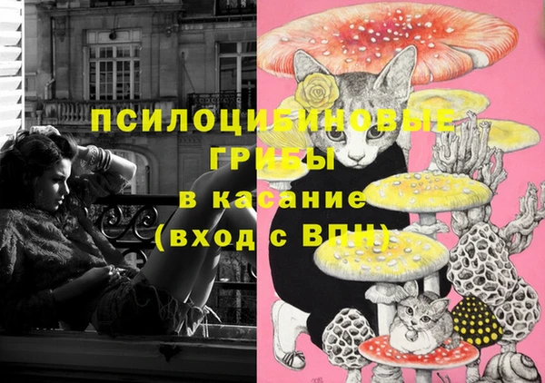 2c-b Кодинск