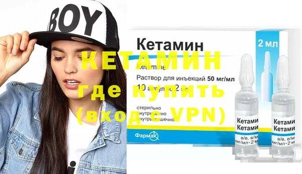 крисы Корсаков