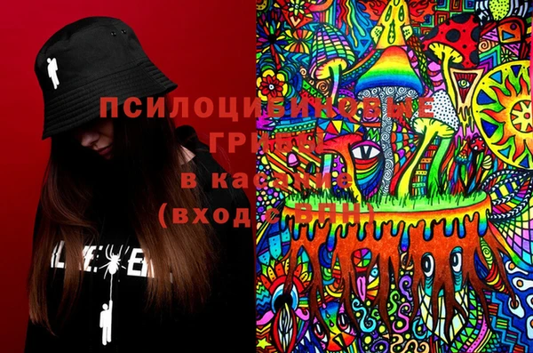 хмурый Коряжма