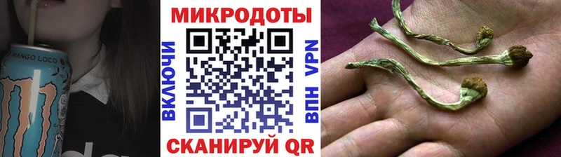 Псилоцибиновые грибы Psilocybine cubensis  shop какой сайт  Обь 